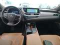 Lexus ES 300 2.5 300h Luxury Beige - thumbnail 4