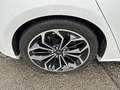 Ford Focus Focus 1,5 EcoBlue ST-Line Weiß - thumbnail 5