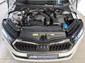 Skoda Octavia Combi 1,5 TSI mHEV Selection RCam|SHZ|APP Weiß - thumbnail 7