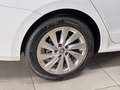 Skoda Octavia Combi 1,5 TSI mHEV Selection RCam|SHZ|APP Weiß - thumbnail 18