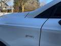 Ford Mondeo 2.0 Hybrid ST-Line,* Leder, LED, ACC, Kamera,...* Silber - thumbnail 10