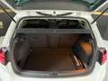 Volkswagen Golf Sport 2.0 TDI 110kW (150CV) DSG Blanco - thumbnail 15