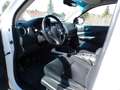 Nissan Navara NP300 Double Cab 4x4 Kamera Harttop AHK Білий - thumbnail 7