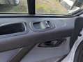 Ford Transit Custom 320 L1 Trend Blanco - thumbnail 7