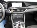 Alfa Romeo Stelvio Magnifica 2,2 ATX AWD Rot - thumbnail 9