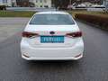 Toyota Corolla 1.8 Hybrid  122PS  Sofort Verfügbar Weiß - thumbnail 4