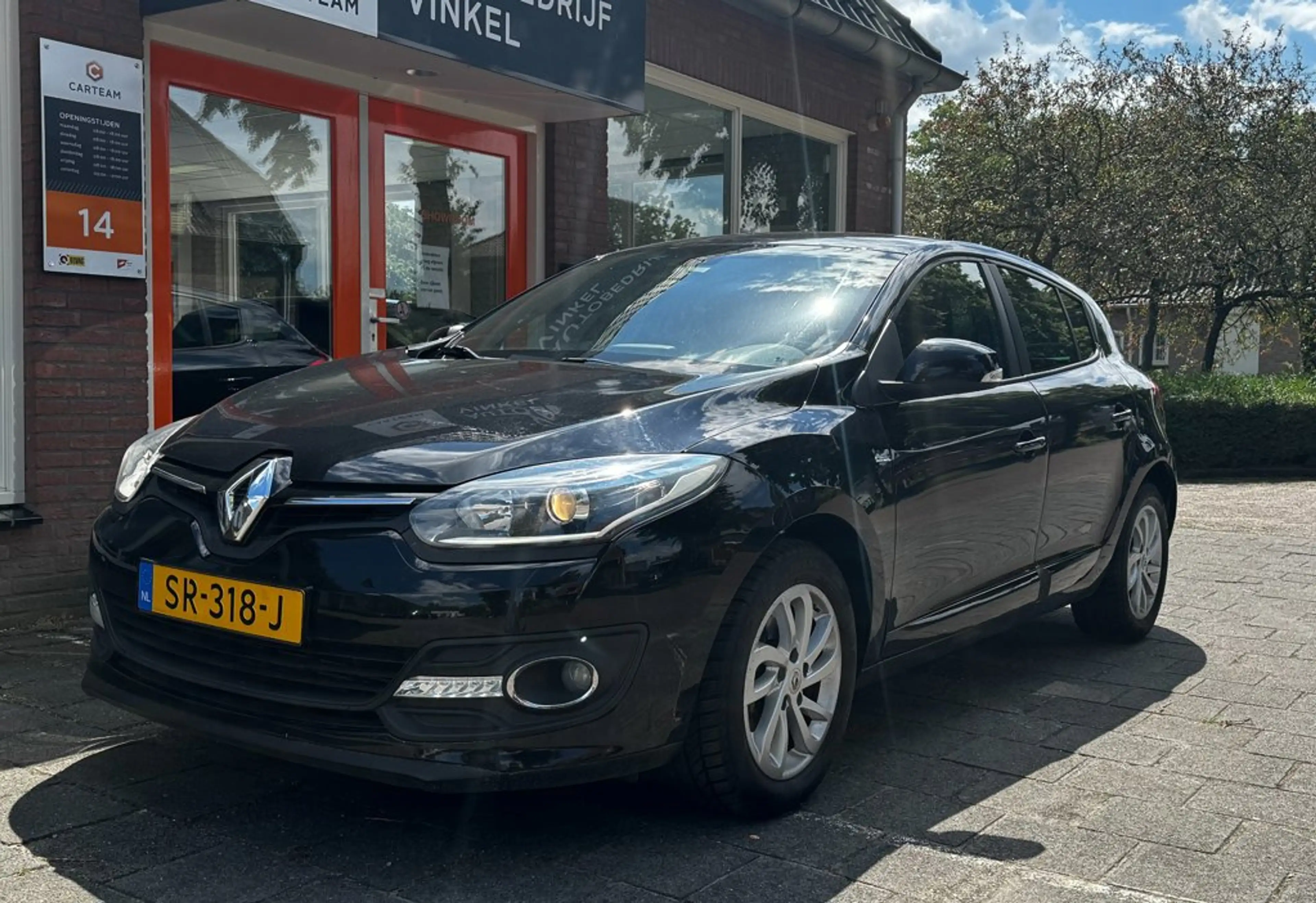 Renault Megane 1.2 TCe Limited — photo 6
