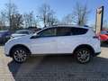 Toyota RAV 4 Hybrid Executive 4x4 Weiß - thumbnail 6