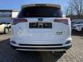 Toyota RAV 4 Hybrid Executive 4x4 Weiß - thumbnail 8