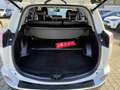 Toyota RAV 4 Hybrid Executive 4x4 Weiß - thumbnail 12