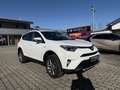 Toyota RAV 4 Hybrid Executive 4x4 Weiß - thumbnail 3