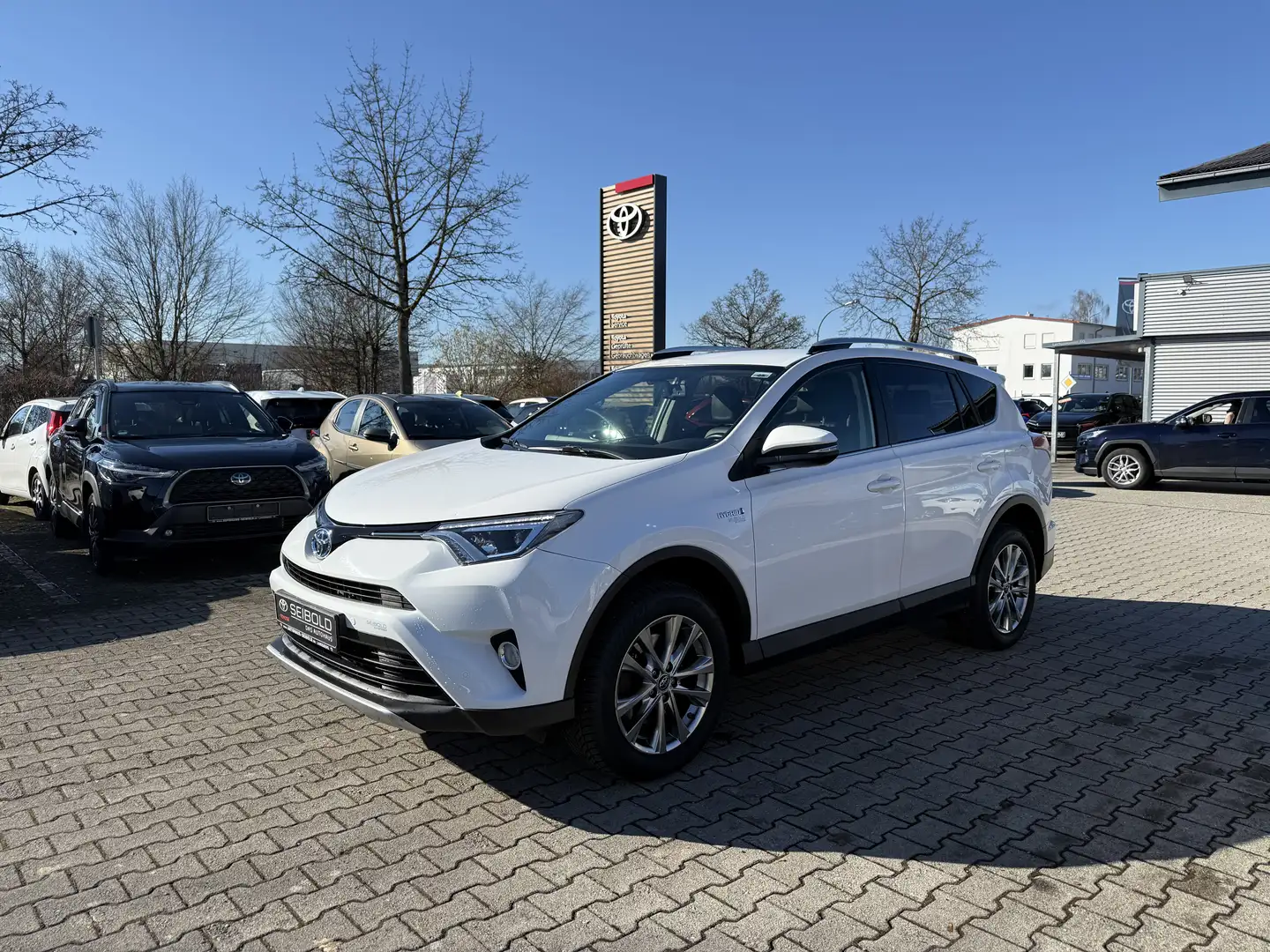Toyota RAV 4 Hybrid Executive 4x4 Weiß - 1