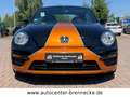 Volkswagen Beetle BMT*Käfer-Edition**8-fach bereift* Schwarz - thumbnail 2