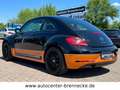 Volkswagen Beetle BMT*Käfer-Edition**8-fach bereift* Schwarz - thumbnail 6
