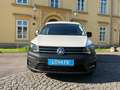 Volkswagen Caddy KÜHLWAGEN  NP. € 35.000.-  KLIMA NEUER ÖAMTC TE... Weiß - thumbnail 16
