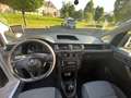 Volkswagen Caddy KÜHLWAGEN  NP. € 35.000.-  KLIMA NEUER ÖAMTC TE... Weiß - thumbnail 3