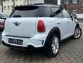 MINI Cooper S COOPER S*COUNTRYMAN*H&K-SHZ-PANO-LEDER-NAVI-NR Weiß - thumbnail 4
