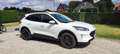Ford Kuga 2.5 Duratec PHEV TITANIUM Wit - thumbnail 2