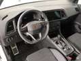CUPRA Ateca 1.5 TSI DSG 150 Blanc - thumbnail 10
