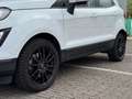 Ford EcoSport Automaat 1.0 EB ST-Line Black Blanc - thumbnail 8