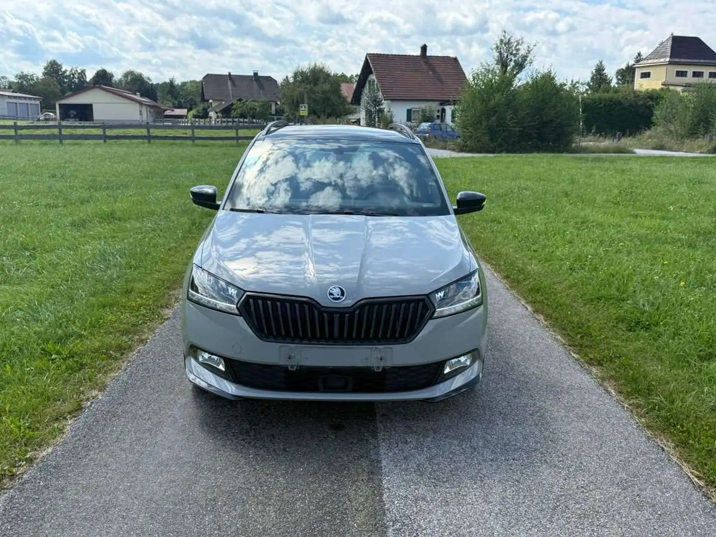 Skoda Fabia Monte Carlo 1,0 TSI Grau - 1