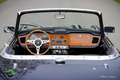 Triumph TR4 Overdrive Schwarz - thumbnail 10