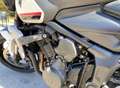 Triumph Trident 660 Blanco - thumbnail 4