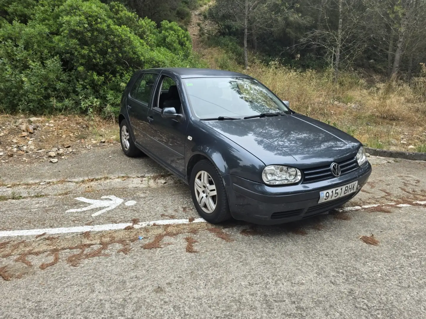 Volkswagen Golf 1.6 Conceptline 105 Gris - 1