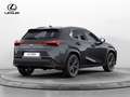 Lexus UX 300h 300h Urban Grigio - thumbnail 5