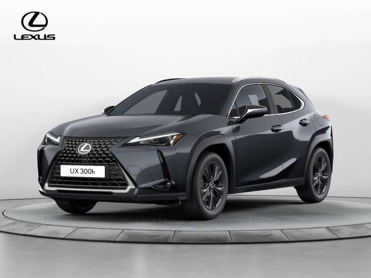 Lexus UX 300h 300h Urban