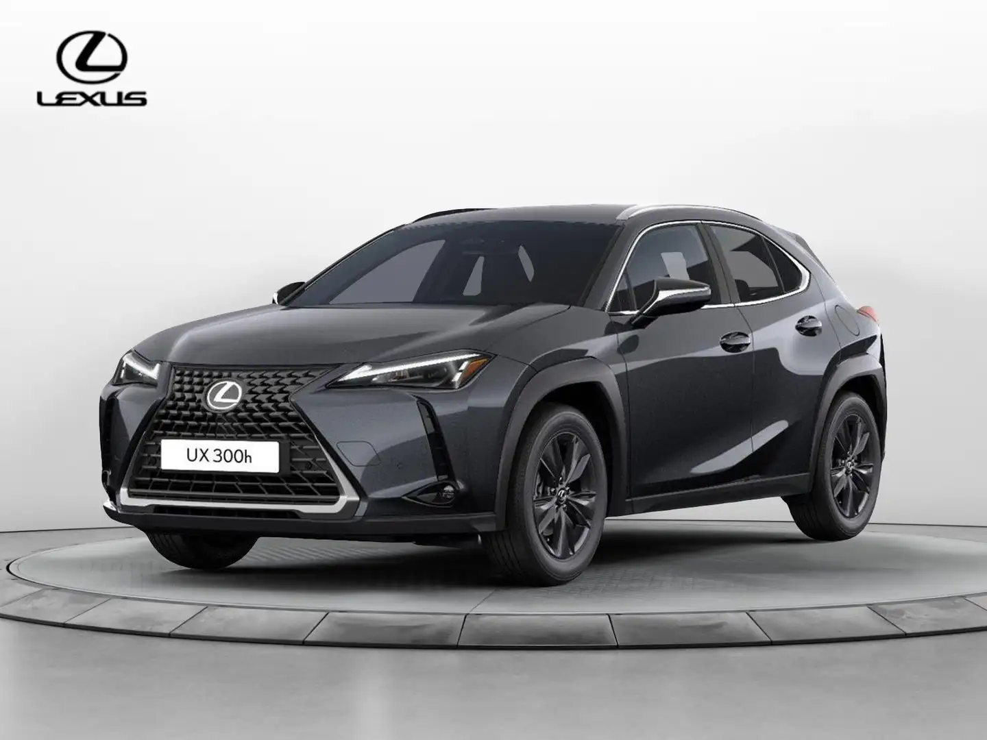 Lexus UX 300h 300h Urban Grigio - 1
