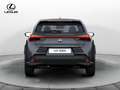 Lexus UX 300h 300h Urban Grigio - thumbnail 6