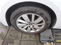 SEAT Leon 1.2 TSI Ecomotive/ Reference Sportp. SHZ Blanc - thumbnail 10