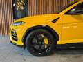Lamborghini Urus 4.0 V8 NAP / Keramisch / B&O 3D / Carbon / Alcanta Amarillo - thumbnail 7