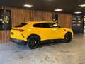 Lamborghini Urus 4.0 V8 NAP / Keramisch / B&O 3D / Carbon / Alcanta Amarillo - thumbnail 13