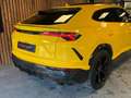 Lamborghini Urus 4.0 V8 NAP / Keramisch / B&O 3D / Carbon / Alcanta Amarillo - thumbnail 14