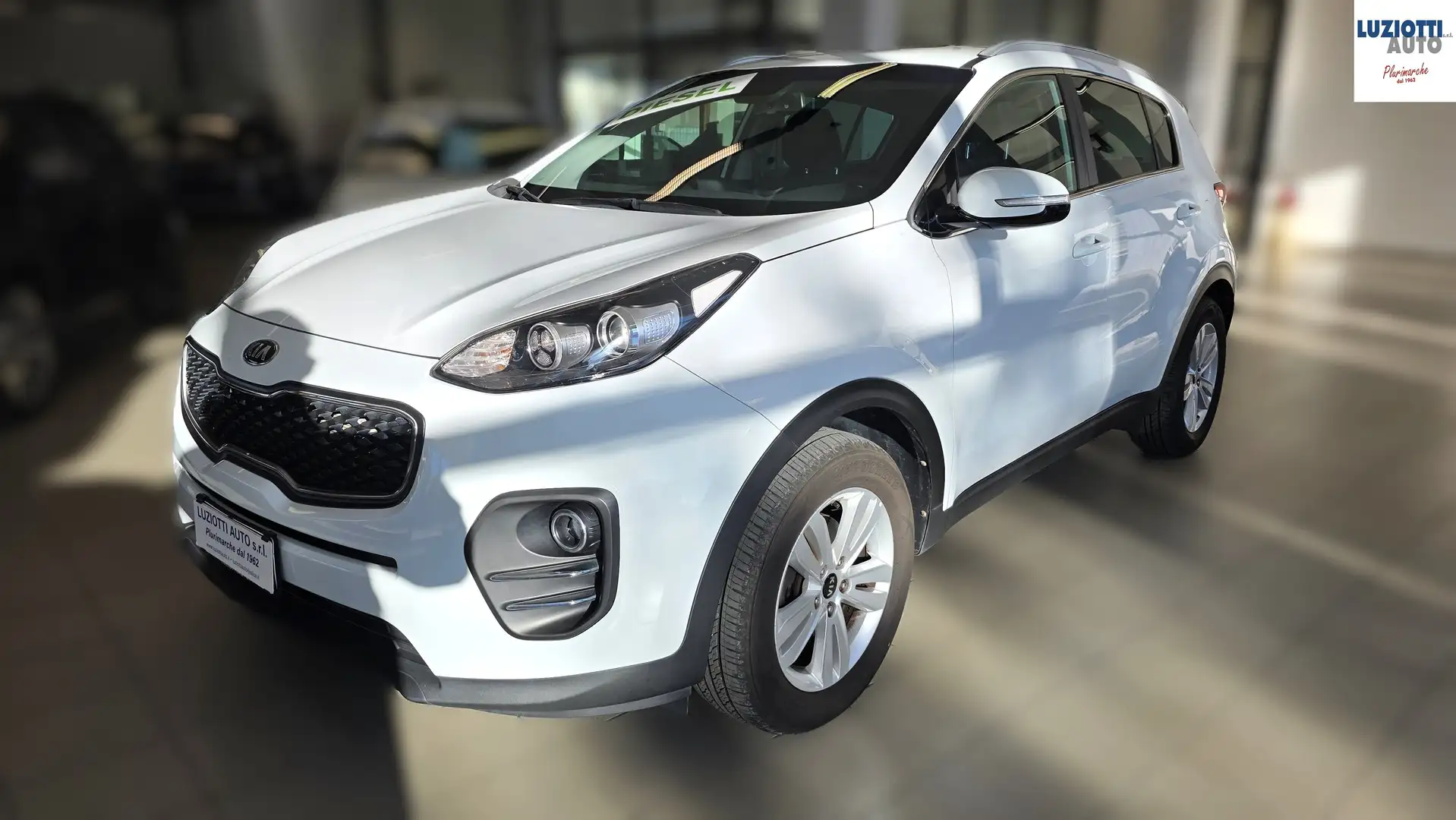 Kia Sportage SPORTAGE 1.7 CRDI 115CV BUSINESS - EURO6B Bianco - 2