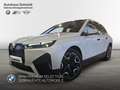 BMW iX xDrive40 Sportpaket*22"*LC Prof.*HUD*AHK*H/K*DAB*S Blanco - thumbnail 1