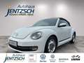 Volkswagen Beetle Cabriolet Cup Xenon/Klimaaut./Sitzh. Weiß - thumbnail 1