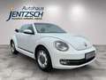 Volkswagen Beetle Cabriolet Cup Xenon/Klimaaut./Sitzh. Weiß - thumbnail 8