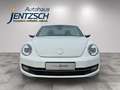 Volkswagen Beetle Cabriolet Cup Xenon/Klimaaut./Sitzh. Weiß - thumbnail 9