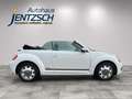 Volkswagen Beetle Cabriolet Cup Xenon/Klimaaut./Sitzh. Weiß - thumbnail 7