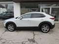 Mazda CX-30 e-Skyactive G140 Exclusive-Line Aut. Weiß - thumbnail 7