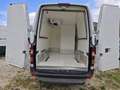Mercedes-Benz Sprinter 316 CDI - frigo ATP 09/2027 - thumbnail 4