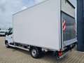 Renault Master 35 New Möbel Koffer LBW KLIMA TEMPOMAT Weiß - thumbnail 6