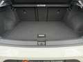 Volkswagen T-Roc 1.5 TSI Highline Weiß - thumbnail 10