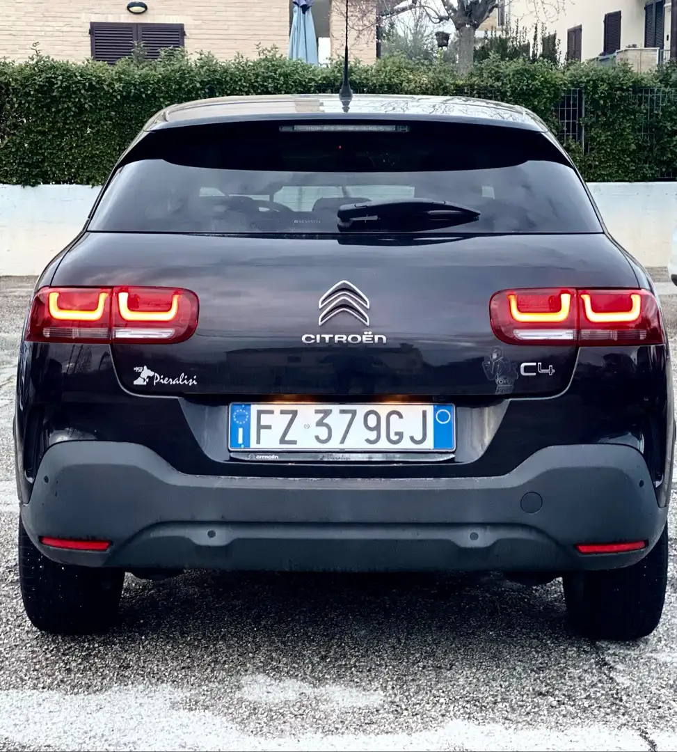 Citroen C4 Cactus Shine - 2