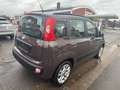 Fiat Panda Lounge/TÜV NEU/Kupplung NEU/74000Tkm Brun - thumbnail 3