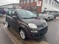Fiat Panda Lounge/TÜV NEU/Kupplung NEU/74000Tkm Brun - thumbnail 4