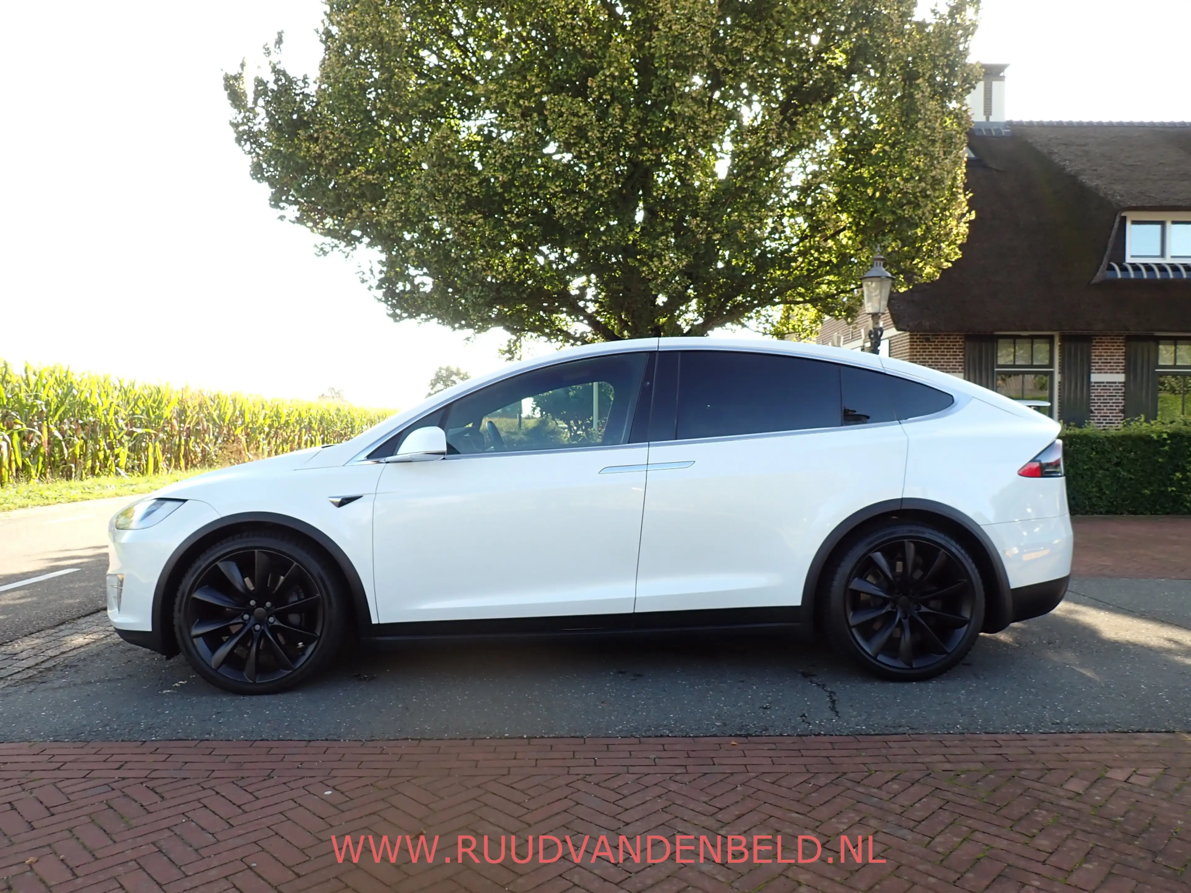 Tesla Model X 100D LONGE RANGE SOH 88% / CCS / ENHANCED-AUTOPILO — photo 6